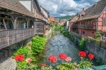 2019 05 066 Alsace.jpg